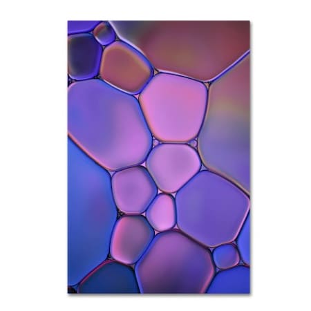 Cora Niele 'Purple Stained Glass' Canvas Art,22x32